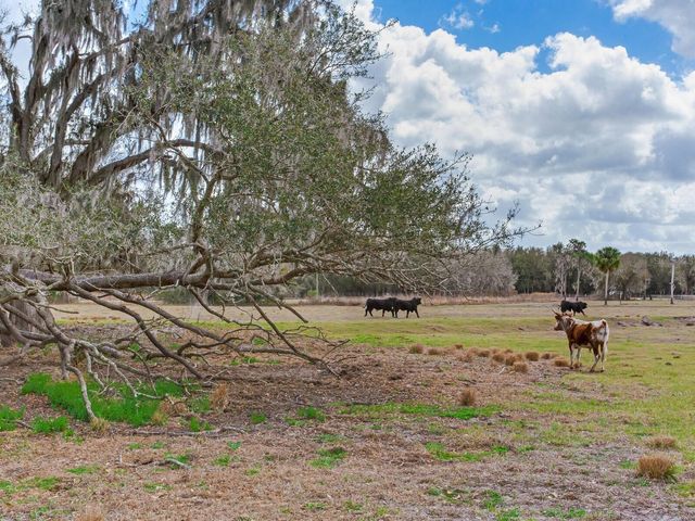 0 S CR 39, Lithia, FL 33547