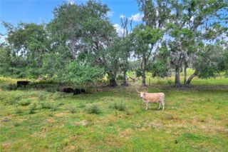 0 S CR 39, Lithia, FL 33547