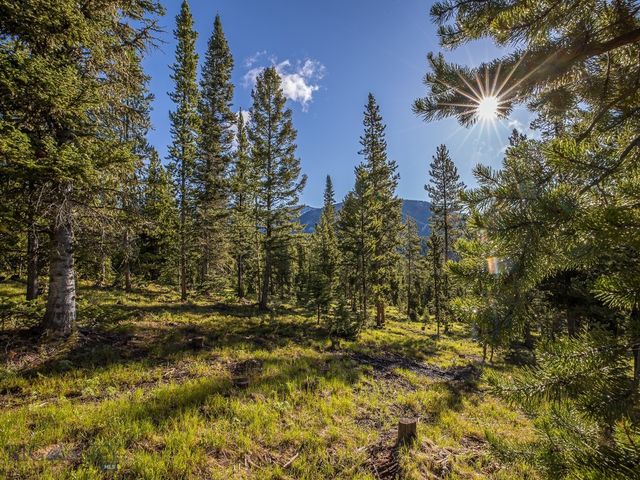 Lot 3 Lost Trails Road, Big Sky, MT 59716