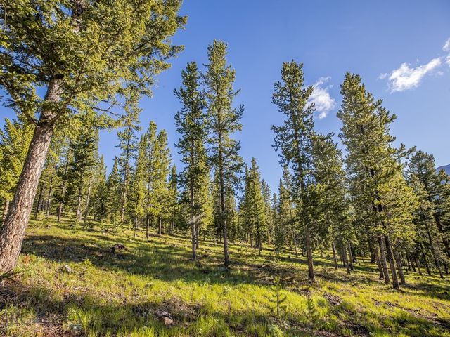 Lot 3 Lost Trails Road, Big Sky, MT 59716