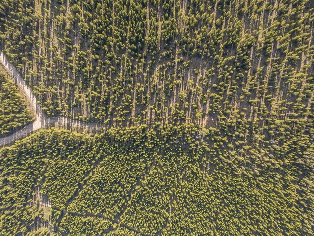 Lot 3 Lost Trails Road, Big Sky, MT 59716