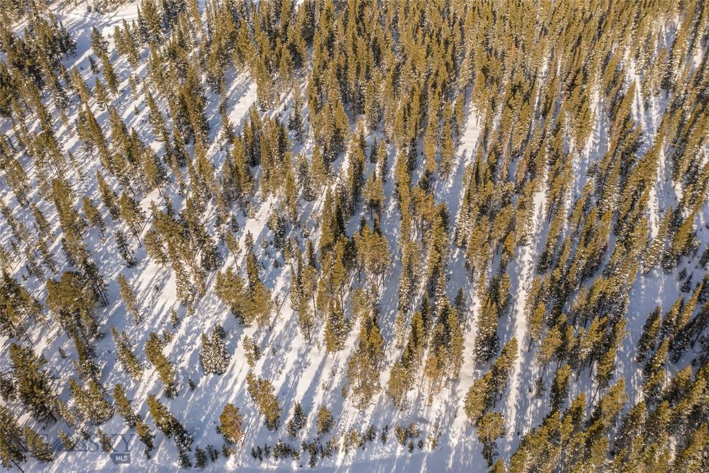 Lot 3 Lost Trails Road, Big Sky, MT 59716 photo 6