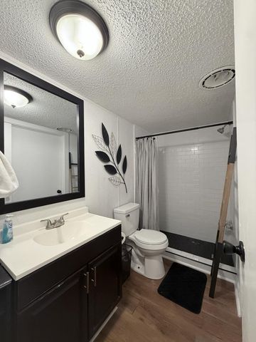 12608 Lazy Cove Drive, Willis, TX 77318