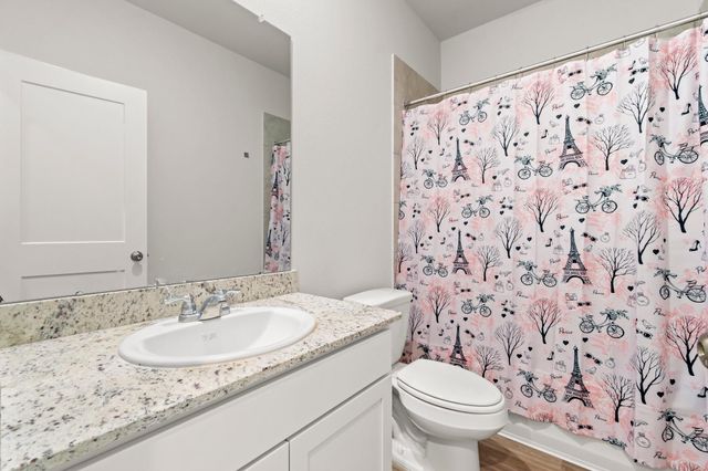 11617 Whirlaway Drive, Willis, TX 77318