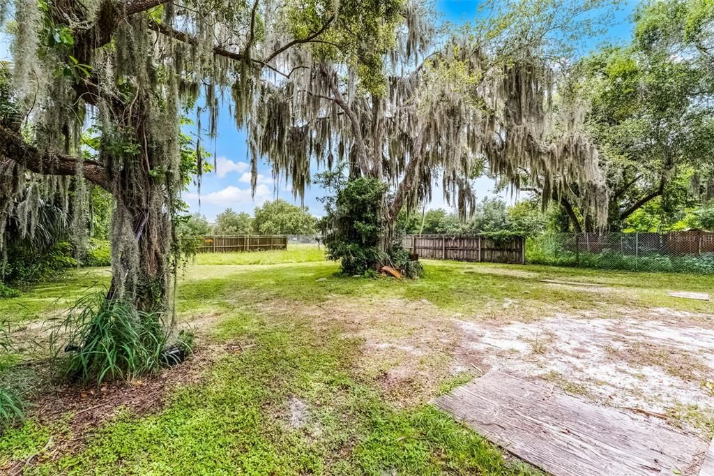 770 W WEBSTER AVENUE REAR LOT, Winter Park, FL 32789