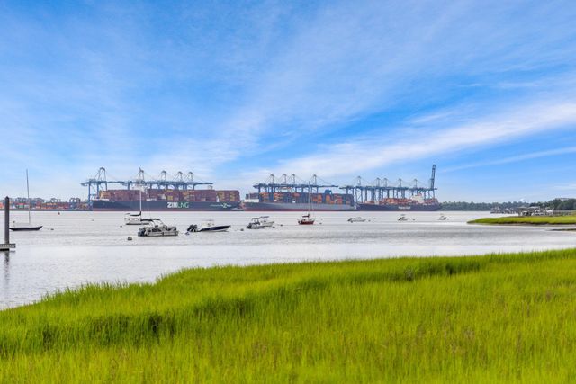 1530 Willtown Street, Daniel Island, SC 29492