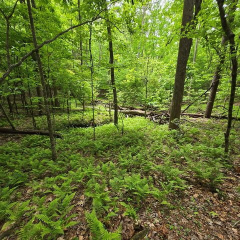 3.5acre Dusty Trail, Morganton, GA 30560