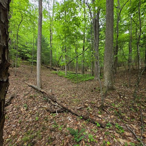 3.5acre Dusty Trail, Morganton, GA 30560