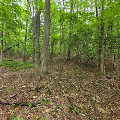 3.5acre Dusty Trail, Morganton, GA 30560