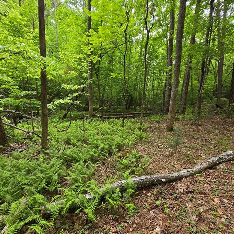 3.5acre Dusty Trail, Morganton, GA 30560