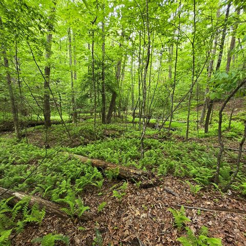 3.5acre Dusty Trail, Morganton, GA 30560