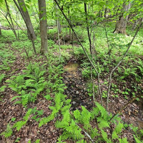 3.5acre Dusty Trail, Morganton, GA 30560