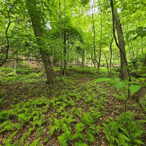 3.5acre Dusty Trail, Morganton, GA 30560