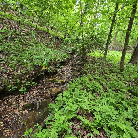 3.5acre Dusty Trail, Morganton, GA 30560