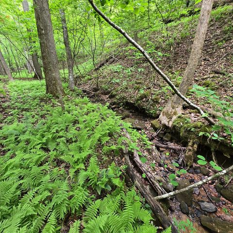 3.5acre Dusty Trail, Morganton, GA 30560