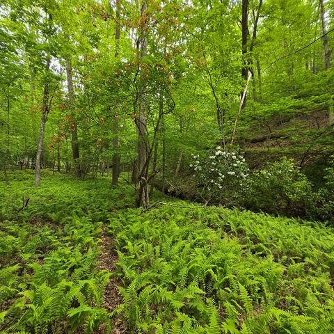 3.5acre Dusty Trail, Morganton, GA 30560