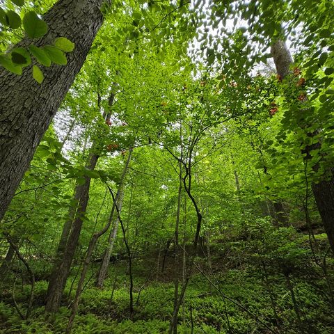 3.5acre Dusty Trail, Morganton, GA 30560