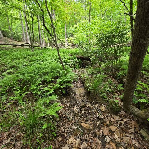 3.5acre Dusty Trail, Morganton, GA 30560