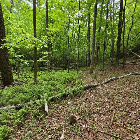 3.5acre Dusty Trail, Morganton, GA 30560