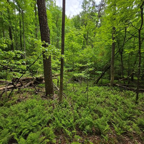 3.5acre Dusty Trail, Morganton, GA 30560