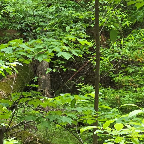 3.5acre Dusty Trail, Morganton, GA 30560