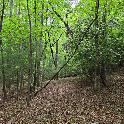 3.5acre Dusty Trail, Morganton, GA 30560