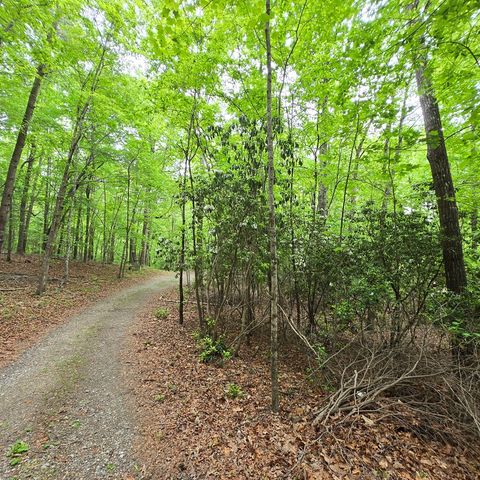 3.5acre Dusty Trail, Morganton, GA 30560