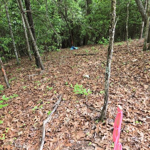3.5acre Dusty Trail, Morganton, GA 30560