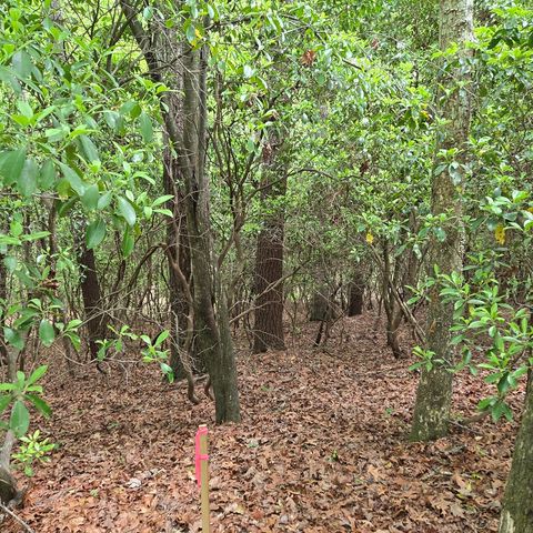 3.5acre Dusty Trail, Morganton, GA 30560