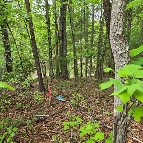 3.5acre Dusty Trail, Morganton, GA 30560