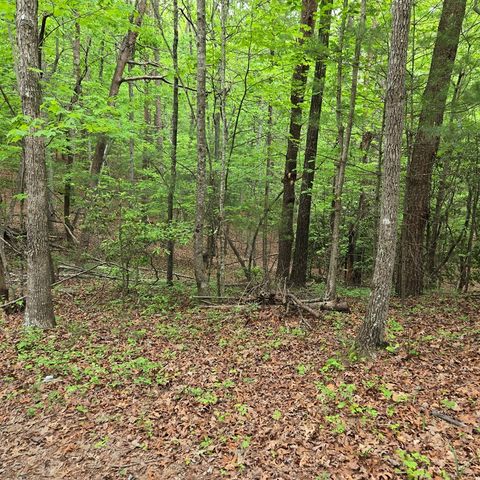 3.5acre Dusty Trail, Morganton, GA 30560