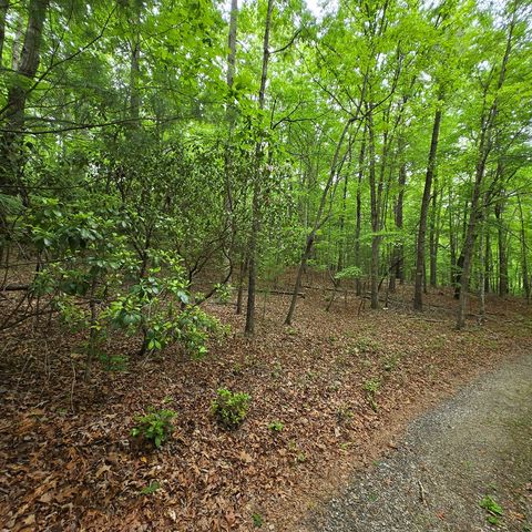 3.5acre Dusty Trail, Morganton, GA 30560