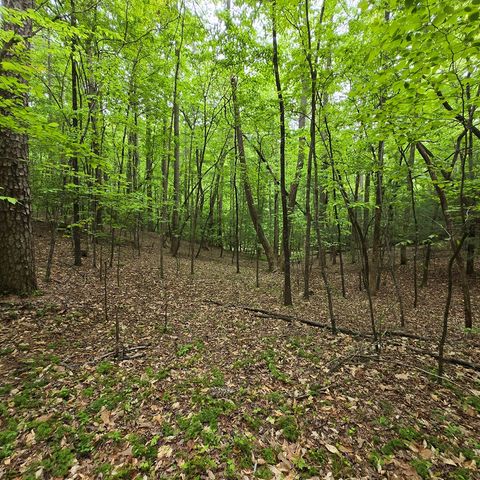 3.5acre Dusty Trail, Morganton, GA 30560