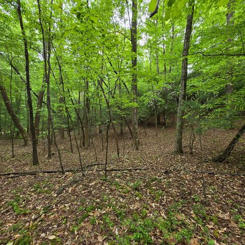 3.5acre Dusty Trail, Morganton, GA 30560