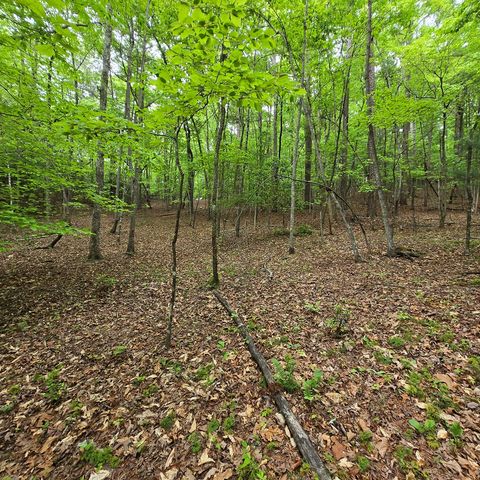 3.5acre Dusty Trail, Morganton, GA 30560