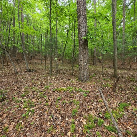 3.5acre Dusty Trail, Morganton, GA 30560