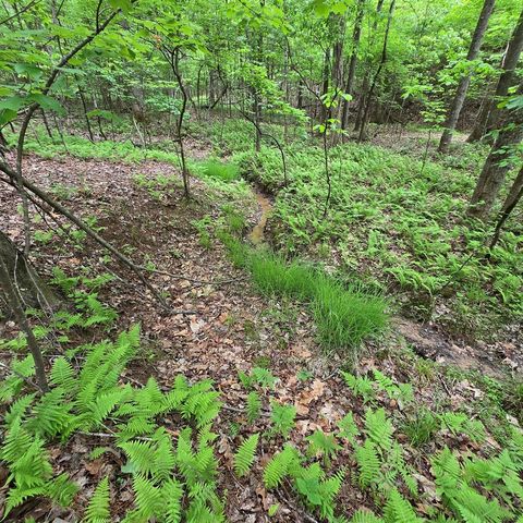 3.5acre Dusty Trail, Morganton, GA 30560