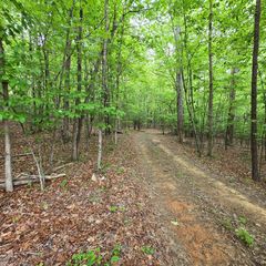 3.5acre Dusty Trail, Morganton, GA 30560