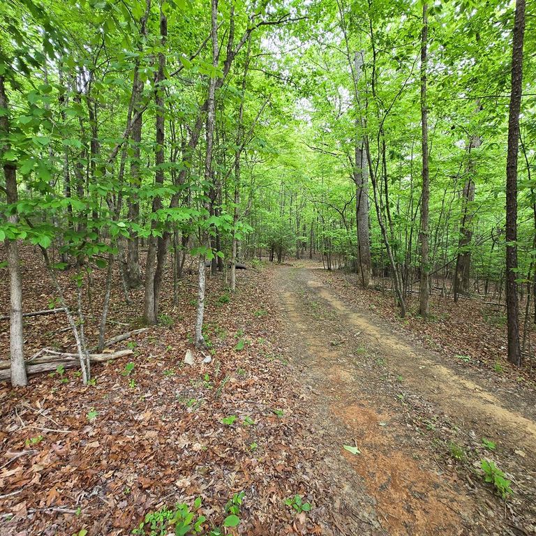 3.5acre Dusty Trail, Morganton, GA 30560