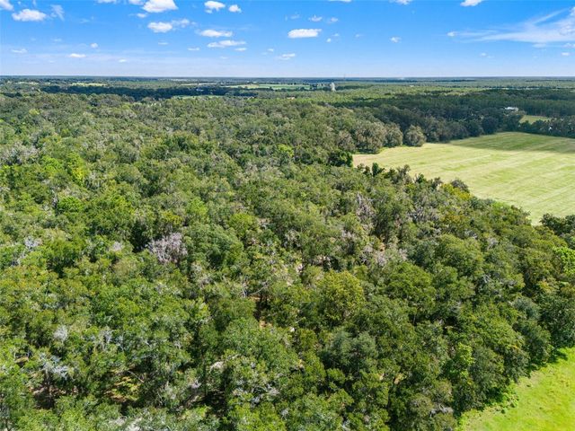 11426 S PLEASANT GROVE ROAD, Floral City, FL 34436