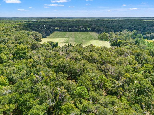 11426 S PLEASANT GROVE ROAD, Floral City, FL 34436