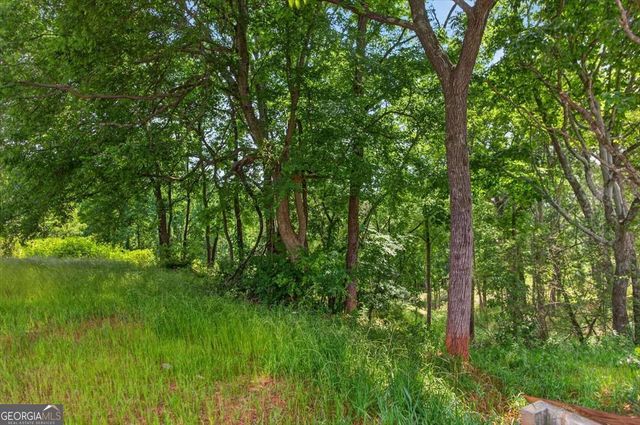 0 Conns Creek Road 2, Ball Ground, GA 30107