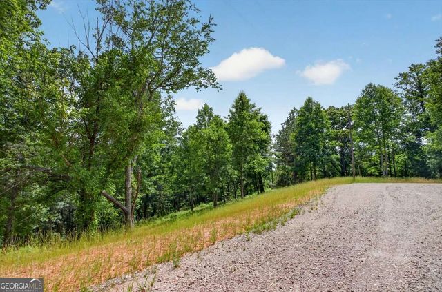 0 Conns Creek Road 2, Ball Ground, GA 30107
