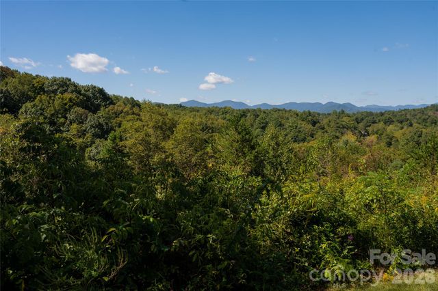 68 Sweet Fern Parkway, Asheville, NC 28804