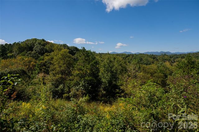 68 Sweet Fern Parkway, Asheville, NC 28804