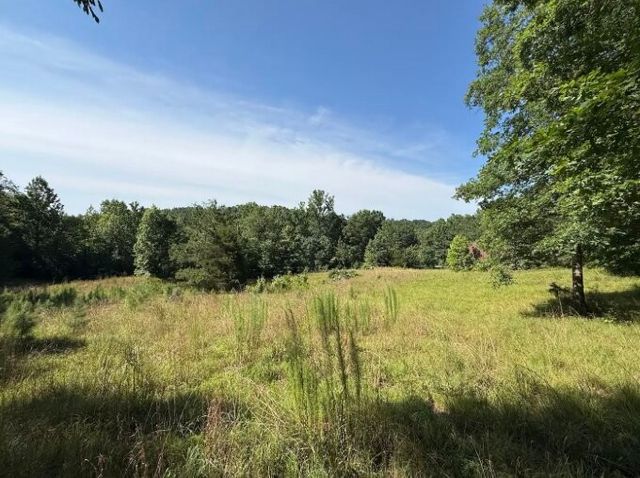 162 Tracy Rd, Hohenwald, TN 38462