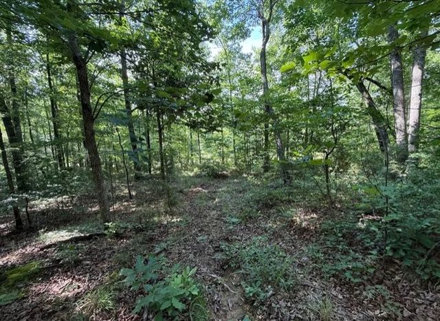 162 Tracy Rd, Hohenwald, TN 38462