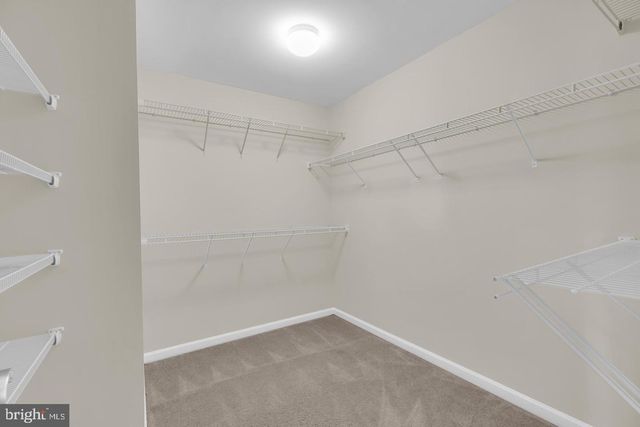 25284 ARROWROOT TER, Chantilly, VA 20152