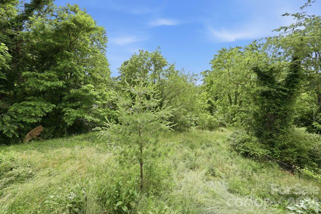 131 Vinewood Circle, Asheville, NC 28806