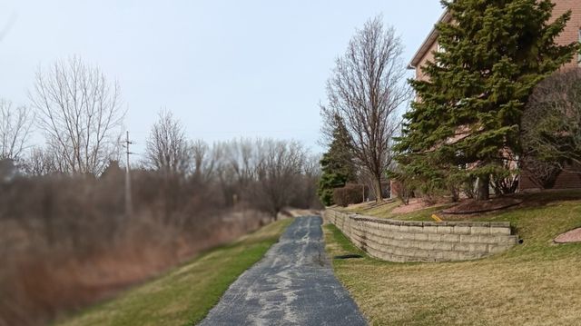 11555 Settlers Pond Way 1A, Orland Park, IL 60467